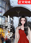 乘风破浪的小猫图片