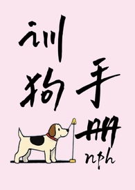小公司出纳和会计可以一个人做吗